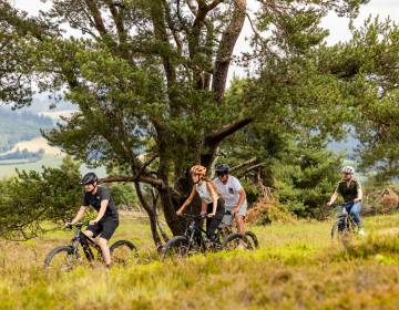 Mountainbiker auf Tour im Sauerland