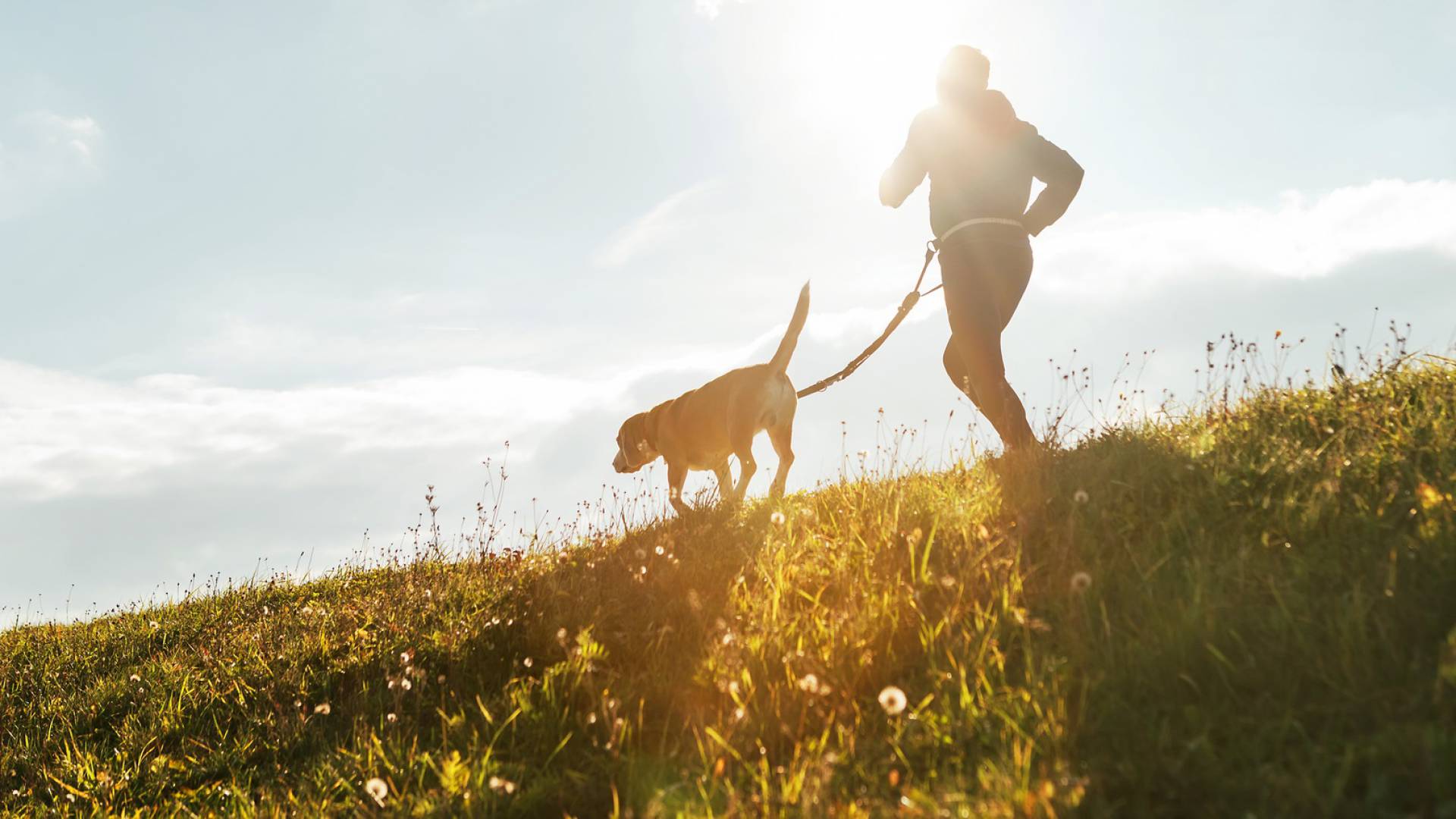 Urlaub mit Hund Sauerland Stern Hotel